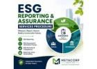 ESG Reporting Assurance Services
