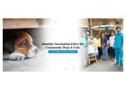 Veterinary Hospital In Gurgaon | CGS Hospital