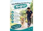 Dog Walking Services