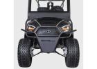 Electric Golf Carts Rentals with Reliable Island Performance