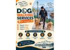 Dog Walking Services