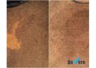 Carpet Repair in North Brisbane | DeVere - Carpet And Leather Restorations