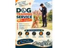Dog Training Service