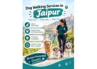 Dog Walking Services