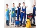 Count on the Eco-Friendly and Safe Carpet Cleaning Adelaide